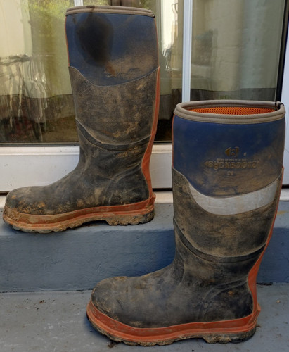 Mens orange blue buckbootz - orange,