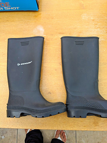 Dunlop black rubber wellington - dunlop,